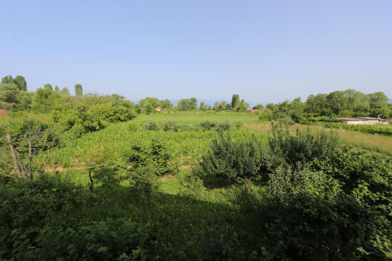 Villa Goriza Prestige Ochryda Zewnętrze zdjęcie