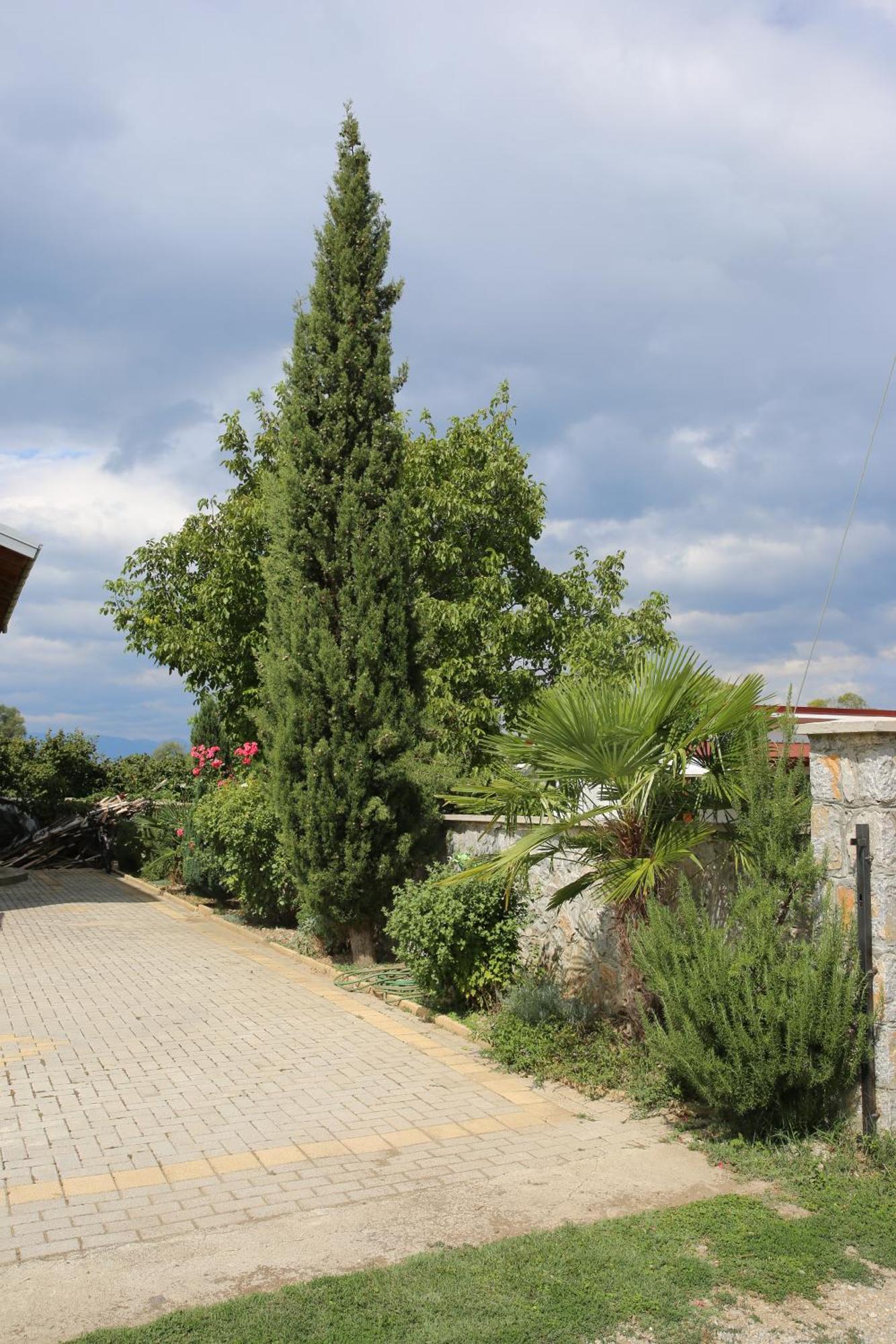 Villa Goriza Prestige Ochryda Zewnętrze zdjęcie